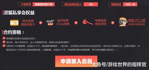 挚爱之约爆料视频网址,视频网址背后的浪漫故事  第1张