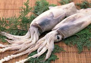 鱿鱼最新爆料视频在线观看,揭秘最新爆料视频，剧情反转引热议  第1张