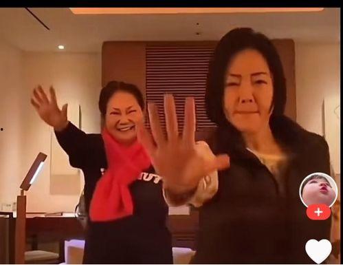 夜间梅视频在线观看,沉浸式体验梅视频在线盛宴  第1张