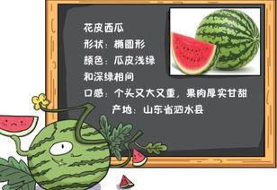 闷头吃瓜小说免费阅读,揭开网络小说世界的免费阅读奥秘 第2张 闷头吃瓜小说免费阅读,揭开网络小说世界的免费阅读奥秘 第2张